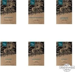 Wichtige Heilpflanzen Der Frauenheilkunde - Samenset 17 Wichtige Heilpflanzen Der Frauenheilkunde - Samenset -Pflanzensamen Rabatt magic garden seeds wichtige heilpflanzen der frauenheilkunde samenset 1663522 de