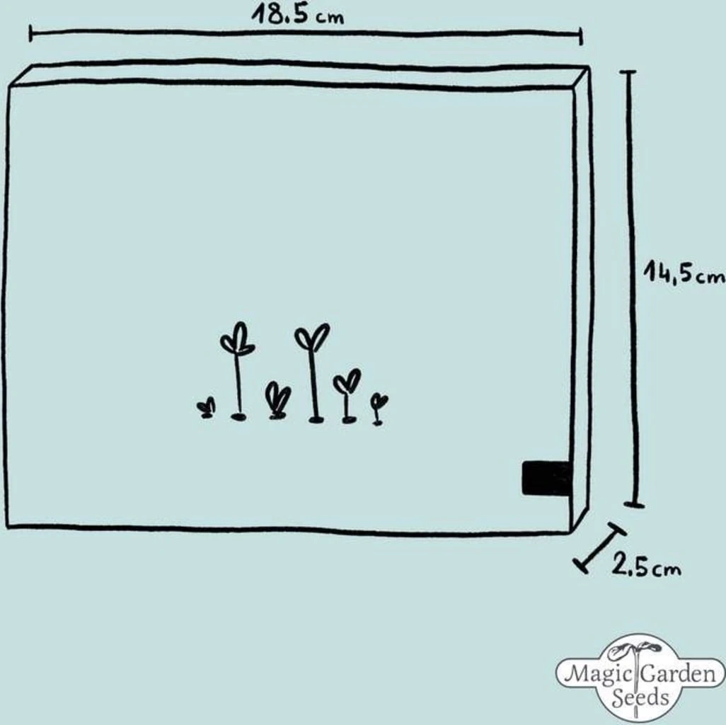 Wichtige Heilpflanzen Der Frauenheilkunde - Samenset 8 Wichtige Heilpflanzen Der Frauenheilkunde - Samenset – Bild 6