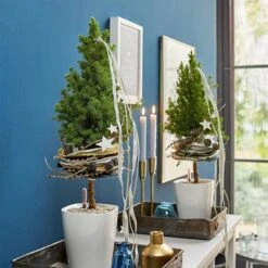 LECHUZA Tischgefäß MINI DELTINI, Weiß -Pflanzensamen Rabatt mini deltini tischgefaess 673180 de