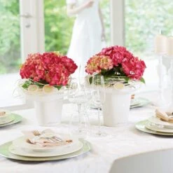 LECHUZA Tischgefäß MINI DELTINI, Weiß -Pflanzensamen Rabatt mini deltini tischgefaess 673220 de