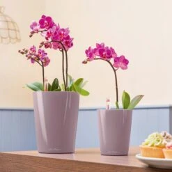 LECHUZA Tischgefäß MINI DELTINI, Weiß -Pflanzensamen Rabatt mini deltini tischgefaess 673240 de