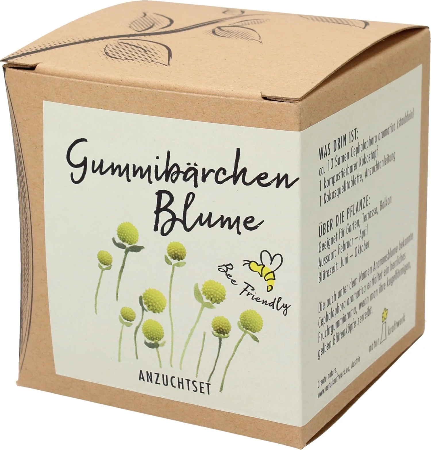Anzuchtset "Gummibärchenblume" 7 Anzuchtset "Gummibärchenblume" – Bild 5