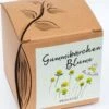 Anzuchtset "Gummibärchenblume" 1 Anzuchtset "Gummibärchenblume" -Pflanzensamen Rabatt naturkraftwerk anzuchtset gummibaerchenblume 1 st 1667806 de
