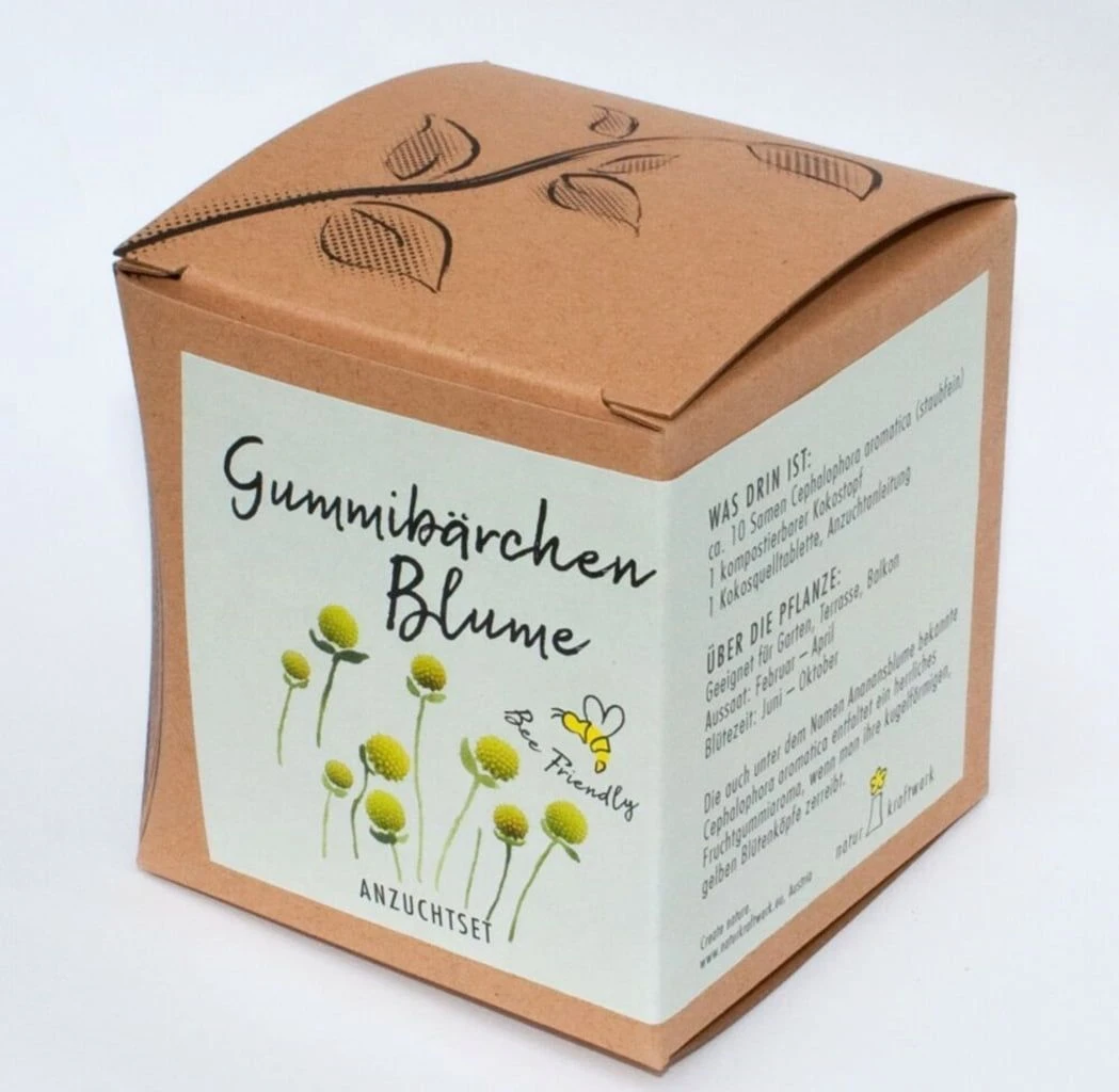 Anzuchtset "Gummibärchenblume" 4 Anzuchtset "Gummibärchenblume" – Bild 2
