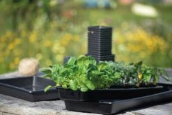 Anzuchtschale Solid 14 X 68 Cm -Pflanzensamen Rabatt nelson garden anzuchtschale solid 14 x 68 cm 1460255 de