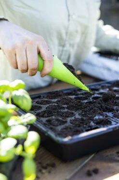 Anzuchtschale Solid 24 X 38 Cm -Pflanzensamen Rabatt nelson garden anzuchtschale solid 24 x 38 cm 1460364 de