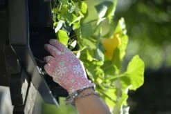 Anzuchtschale Solid 26 X 68 Cm -Pflanzensamen Rabatt nelson garden anzuchtschale solid 26 x 68 cm 1460520 de