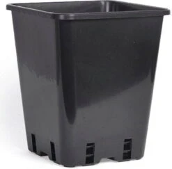 Kunststoff-Topf, 20 Cm 5 Kunststoff-Topf, 20 Cm -Pflanzensamen Rabatt nelson garden kunststoff topf 20 cm 1681260 de