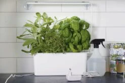 LED-Pflanzen-Wachstums-Leiste, 39 Cm -Pflanzensamen Rabatt nelson garden led pflanzen wachstums leiste small 1 stk 1172121 de