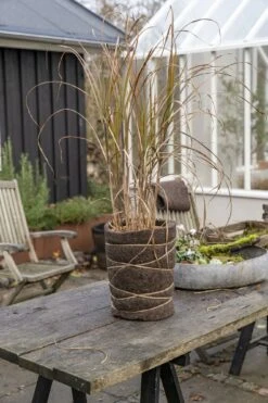 Winterschutz Wollmatte -Pflanzensamen Rabatt nelson garden winterschutz wollmatte 1459871 de