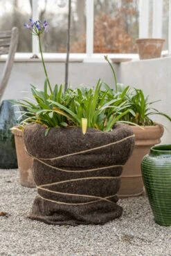 Winterschutz Wollmatte -Pflanzensamen Rabatt nelson garden winterschutz wollmatte 1459878 de