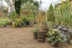 Winterschutz Wollmatte -Pflanzensamen Rabatt nelson garden winterschutz wollmatte 1459905 de