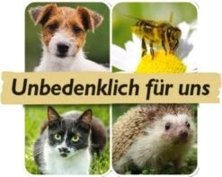 Azet RasenKalk, 10 Kg 9 Azet RasenKalk, 10 Kg -Pflanzensamen Rabatt neudorff azet rasenkalk 10 kg 1673187 de