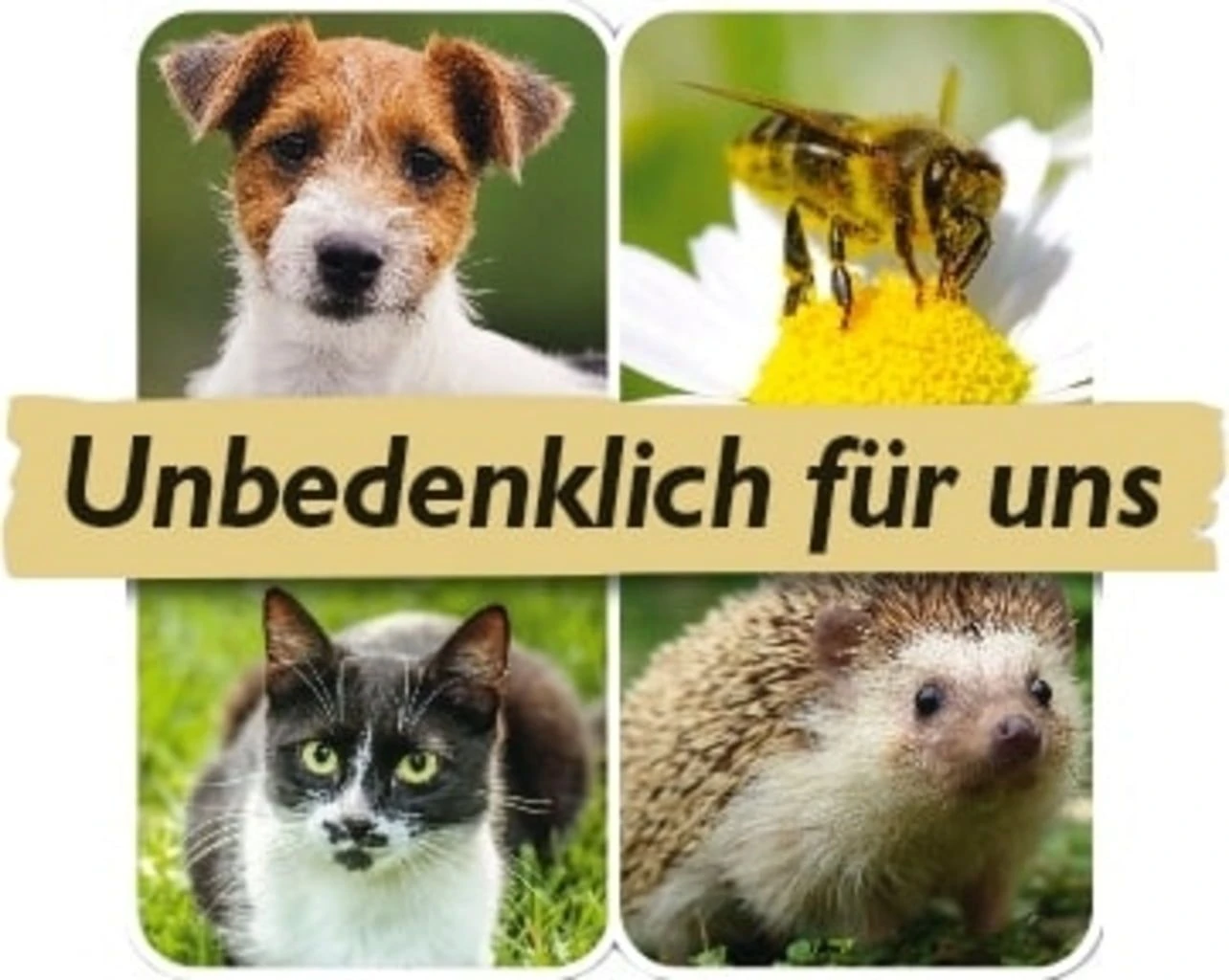 Azet RasenKalk, 10 Kg 6 Azet RasenKalk, 10 Kg – Bild 4