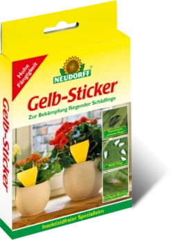 Gelbsticker, 10 Stück