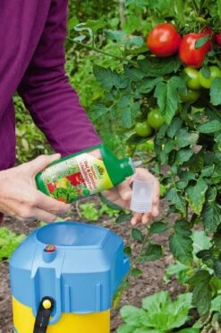 Neudosan® Obst-& GemüseSchädlingsfrei, 250 Ml Reg. Nr. 2622-901