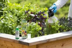 Spruzit NEEM GemüseSchädlingsfrei, 75 Ml - Reg. Nr. 2699-914 -Pflanzensamen Rabatt neudorff spruzit neem gemueseschaedlingsfrei 75 ml reg nr 2699 914 875561 de