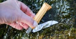 Opinel Klappmesser T.C. N°08, Olivenholz -Pflanzensamen Rabatt opinel klappmesser tc n08 olivtrae 1677751 de