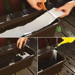 Balkonblumen Hängend - Saatgut-Teppiche -Pflanzensamen Rabatt own grown balkonblumen haengend saatgut teppiche 1 paket 1684307 de