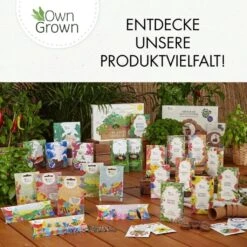 Balkonblumen Hängend - Saatgut-Teppiche -Pflanzensamen Rabatt own grown balkonblumen haengend saatgut teppiche 1 paket 1684312 de