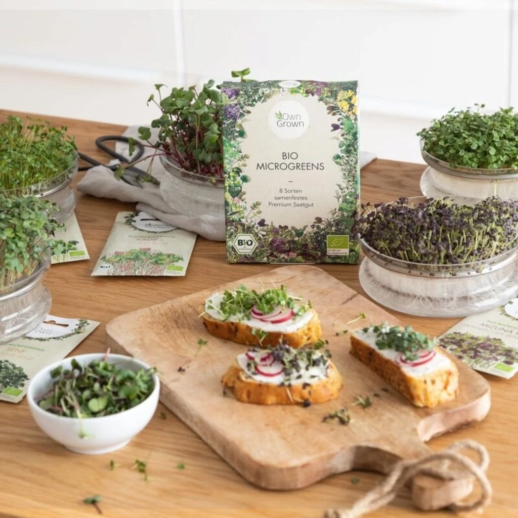 Bio Microgreens 8er Set 5 Bio Microgreens 8er Set – Bild 3
