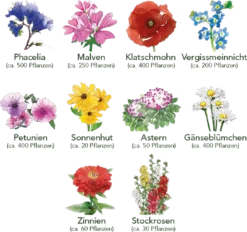 Blumen Beet 10er Set 14 Blumen Beet 10er Set -Pflanzensamen Rabatt own grown blumen beet 10er set 1679532 de