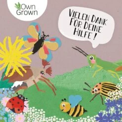 Blumenmischung "Insekteninsel" -Pflanzensamen Rabatt own grown blumenmischung insekteninsel 1527537 de