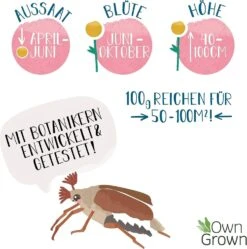 Blumenmischung "Insekteninsel" -Pflanzensamen Rabatt own grown blumenmischung insekteninsel 1527545 de