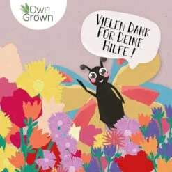 Blumenmischung "Schmetterlingstreff" -Pflanzensamen Rabatt own grown blumenmischung schmetterlingstreff 1527601 de