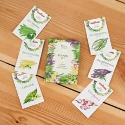 Bohnen-Samen 6er Set 13 Bohnen-Samen 6er Set -Pflanzensamen Rabatt own grown bohnen samen 6er set 1679560 de