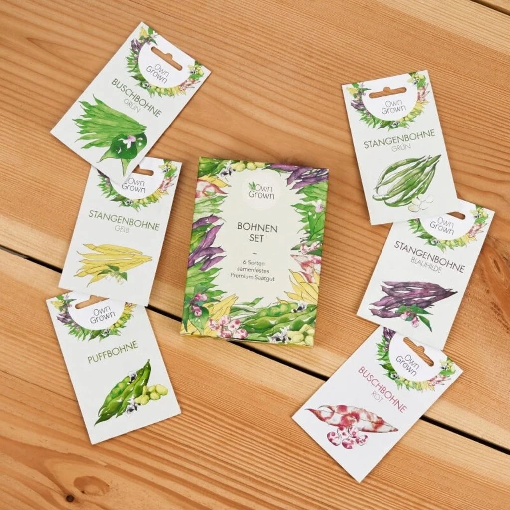 Bohnen-Samen 6er Set 7 Bohnen-Samen 6er Set – Bild 5