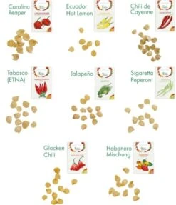 Chili-Samen 8er Saatgut-Set -Pflanzensamen Rabatt own grown chili samen 8er saatgut set 1 set 1679243 de