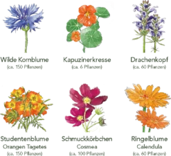 Delikatess-Blüten 6er Saatgut-Set
