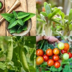 Garten-Helden 10er Set -Pflanzensamen Rabatt own grown garten helden 10er set 1679579 de