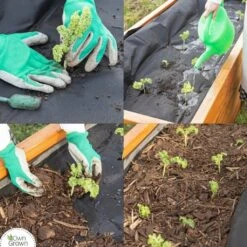 Gartenvlies, 10 M² -Pflanzensamen Rabatt own grown gartenvlies 10 m2 1684423 de