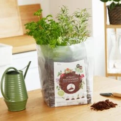 Kokoserde Quellblock 10 L -Pflanzensamen Rabatt own grown kokoserde quellblock 10 l 1508429 de