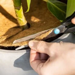 Kokosmulchscheiben Winterschutz -Pflanzensamen Rabatt own grown kokosmulchscheiben winterschutz 1 paket 1684401 de