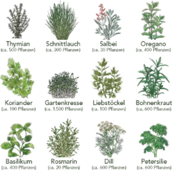 Küchen-Kräuter 12er Saatgut-Set -Pflanzensamen Rabatt own grown kuechen kraeuter 12er saatgut set 1 set 1679233 de