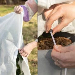 Pflanzen-Schutzhülle 2-tlg., 60 X 80 Cm -Pflanzensamen Rabatt own grown pflanzen schutzhuelle 2 tlg 100 x 80 cm 1684394 de