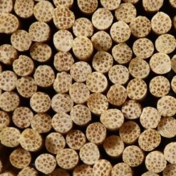 Pflanzstäbe Bambus -Pflanzensamen Rabatt own grown pflanzstaebe bambus 1 set 1679299 de