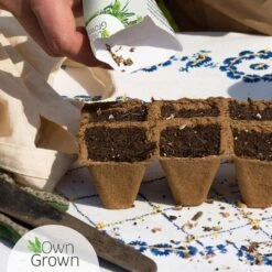 Saatgut "Balkonerdbeere" -Pflanzensamen Rabatt own grown saatgut balkonerdbeere 1526001 de