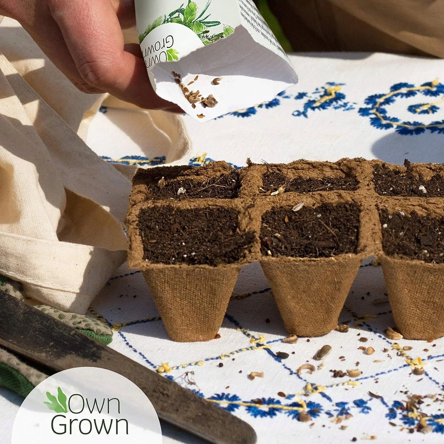 Saatgut "Weiße Erdbeere" 5 Saatgut "Weiße Erdbeere" – Bild 3