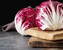 Salat-Samen-Set 12 Salat-Samen-Set -Pflanzensamen Rabatt own grown salat samen set 1682452 de