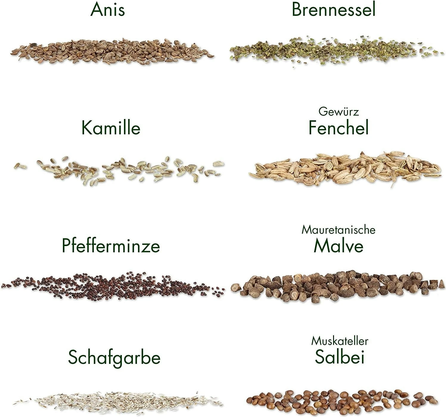 Teekräuter-Samen 8er Set 9 Teekräuter-Samen 8er Set – Bild 7