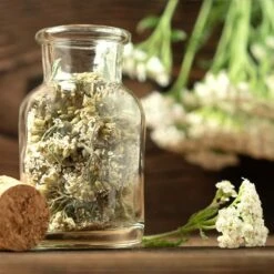 Teekräuter-Samen 8er Set 13 Teekräuter-Samen 8er Set -Pflanzensamen Rabatt own grown teekraeuter samen 8er set 1325165 de