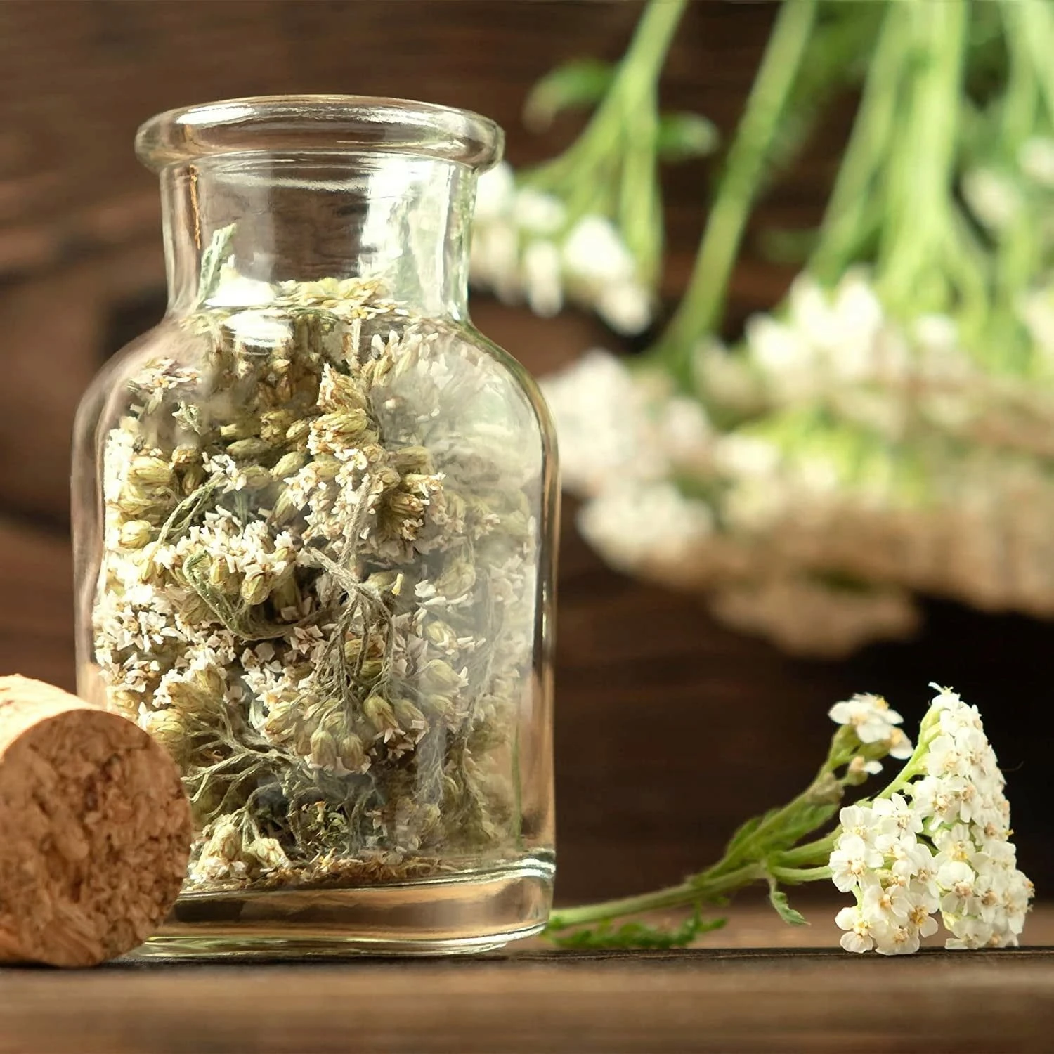 Teekräuter-Samen 8er Set 7 Teekräuter-Samen 8er Set – Bild 5