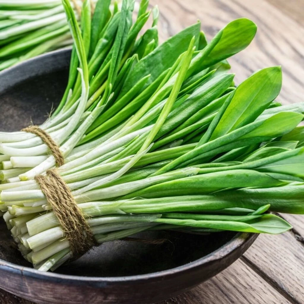 Wildkräuter-Samen 12er Set 3 Wildkräuter-Samen 12er Set