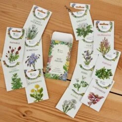 Wildkräuter-Samen 12er Set 14 Wildkräuter-Samen 12er Set -Pflanzensamen Rabatt own grown wildkraeuter samen 12er set 1679553 de
