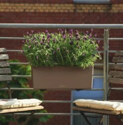 LECHUZA Pflanzgefäß BALCONERA Color 50, Schiefergrau 25 LECHUZA Pflanzgefäß BALCONERA Color 50, Schiefergrau -Pflanzensamen Rabatt pflanzgefaess balconera color 50 627021 de