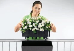 LECHUZA Pflanzgefäß BALCONERA Stone 50, Steingrau 13 LECHUZA Pflanzgefäß BALCONERA Stone 50, Steingrau -Pflanzensamen Rabatt pflanzgefaess balconera stone 50 673800 de